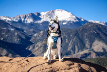 Load image into Gallery viewer, Summit - Click N Go Dog Harness