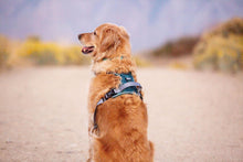 Load image into Gallery viewer, Summit - Click N Go Dog Harness