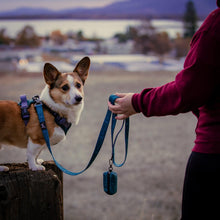 Load image into Gallery viewer, Summit Leash