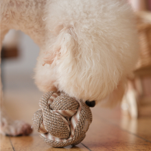 Load image into Gallery viewer, MINI MONTI //Enrichment Toy
