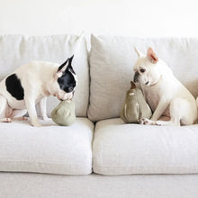 Load image into Gallery viewer, BUTTERNUT//SILENT TOY//ULTRASONIC SQUEAKERS
