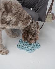 Load image into Gallery viewer, Dexypaws Silicone Snuffle Mat &quot;Hide + Seek&quot; Flower, Blue
