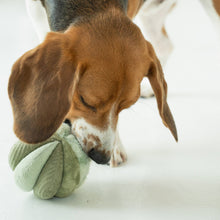 Load image into Gallery viewer, TOTO // ENRICHMENT DOG TOY // Silent // Snuffle Smaller Ball
