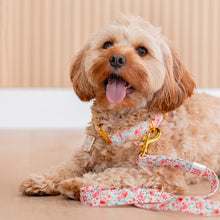 Load image into Gallery viewer, Rose Garden 6ft Leash by Tags For Hope
