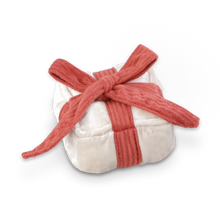 Load image into Gallery viewer, HOLIDAY BOX | CHRISTMAS DOG TOY
