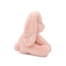 Load image into Gallery viewer, Ruby Plushie
