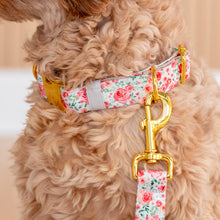 Load image into Gallery viewer, Rose Garden 6ft Leash by Tags For Hope
