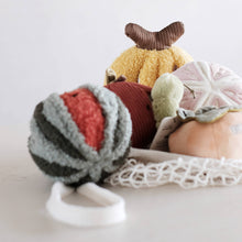 Load image into Gallery viewer, WATERMELON POP// ENRICHMENT TOY SET// SNUFFLE TOY
