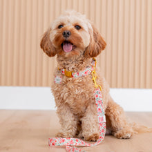 Load image into Gallery viewer, Rose Garden 6ft Leash by Tags For Hope
