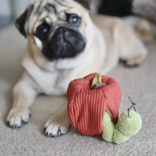 Load image into Gallery viewer, APPLE/ ENRICHMENT TOY SET// SNUFFLE TOY
