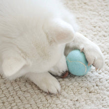 Load image into Gallery viewer, So Fetch! Tennis Ball - Cloud
