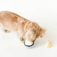 Load image into Gallery viewer, GILLARDEAU//ENRICHMENT DOG TOY
