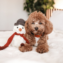 Load image into Gallery viewer, SNOWMAN//ENRICHMENT DOG TOY // HOLIDAY
