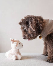 Load image into Gallery viewer, Koko Mini Plushie

