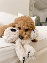 Load image into Gallery viewer, Koko Maxi Plushie
