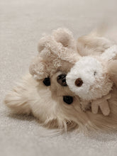 Load image into Gallery viewer, Koko Mini Plushie
