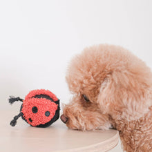 Load image into Gallery viewer, LADYBUG POP // ENRICHMENT TOY // SNUFFLE TOY
