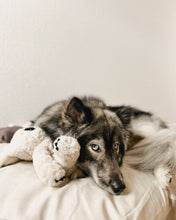 Load image into Gallery viewer, Koko Maxi Plushie

