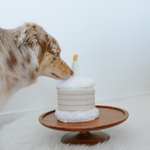 Load image into Gallery viewer, Birthday Cake // SNUFFLE + BURROW TOY SET
