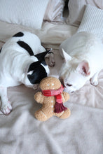 Load image into Gallery viewer, MISTER GINGERBREAD// Holiday Toy// Enrichment Dog Toy
