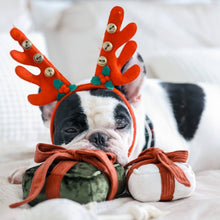 Load image into Gallery viewer, HOLIDAY BOX | CHRISTMAS DOG TOY

