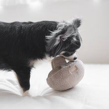 Load image into Gallery viewer, GUU //HAZE//NOSEWORK//ENRICHMENT DOG TOY
