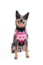 Load image into Gallery viewer, Chilly Dog Sweaters – Cable Knit Wool - Arctic Pink
