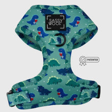 Load image into Gallery viewer, ‘Dino Darling’ Adjustable Harness by Sassy Woof
