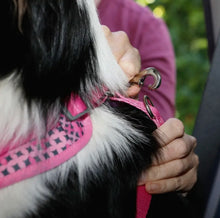 Load image into Gallery viewer, Car Seatbelt for Dogs
