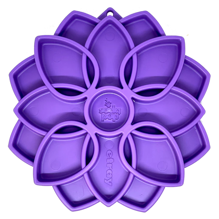 Mandala Enrichment Tray(Lick Mat/ Slow Feeder)