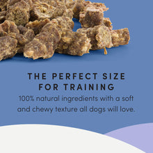 Load image into Gallery viewer, Crumps Mini Trainers Beef Semi Moist Dog
