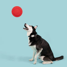 Load image into Gallery viewer, Jolly Pets Tuff Flyer
