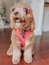 Load image into Gallery viewer, Dog Adjustable Harness - Neon Pink by Sassy Woof
