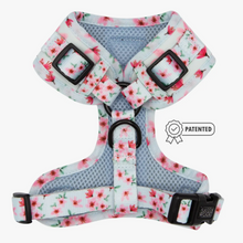 Load image into Gallery viewer, Dog Adjustable Harness - Sakura by Sassy Woof
