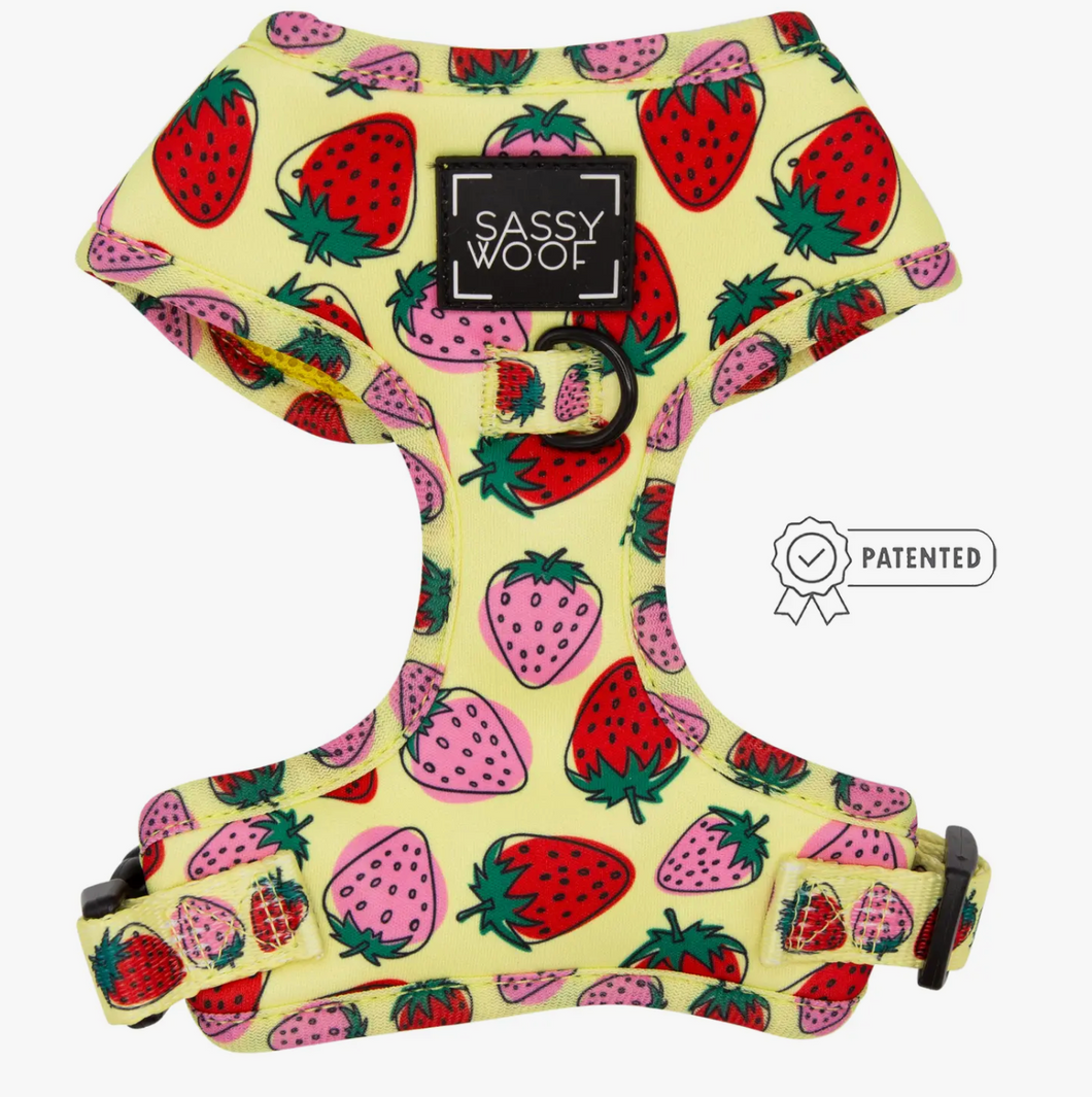 Dog Adjustable Harness - Strawberry Fields Furever by Sassy Woof