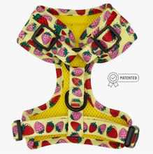 Load image into Gallery viewer, Dog Adjustable Harness - Strawberry Fields Furever by Sassy Woof
