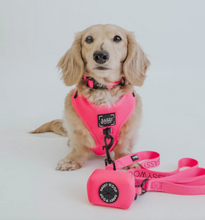 Load image into Gallery viewer, Neon Pink Dog Waste Bag Holder by Sassy Woof
