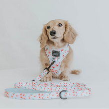 Load image into Gallery viewer, Sakura Floral Fabric Leash by Sassy Woof
