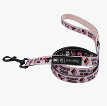 Load image into Gallery viewer, Dog Leash - Harley Quinn™
