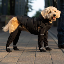 Load image into Gallery viewer, Winter Suspender Boots - by Canada Pooch
