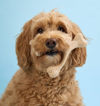 Load image into Gallery viewer, The BetterBone - Soft Beef
