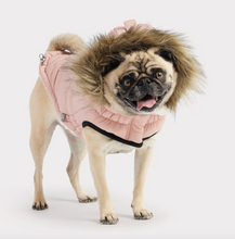 Load image into Gallery viewer, Urban Parka- GF Pet Elasto-Fit
