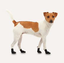 Load image into Gallery viewer, Goo-eez LITES Dog Boots
