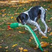 Load image into Gallery viewer, Sir Squeaks-a-Lot Snake Knotties®

