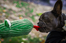 Load image into Gallery viewer, Sir Squeaks-a-Lot Snake Knotties®

