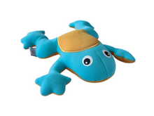 Load image into Gallery viewer, Under the Sea Freeze 'n Float
