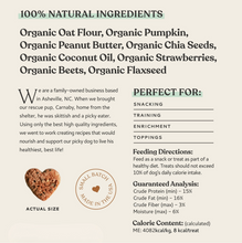 Load image into Gallery viewer, Organic Botanical Bones Dog Biscuits - Various
