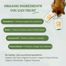 Load image into Gallery viewer, Organic Botanical Bones Dog Biscuits - Various
