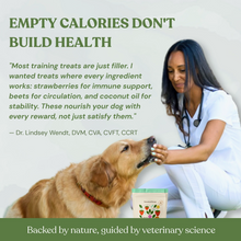 Load image into Gallery viewer, Organic Botanical Bones Dog Biscuits - Various
