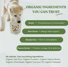 Load image into Gallery viewer, Organic Botanical Bones Dog Biscuits - Various
